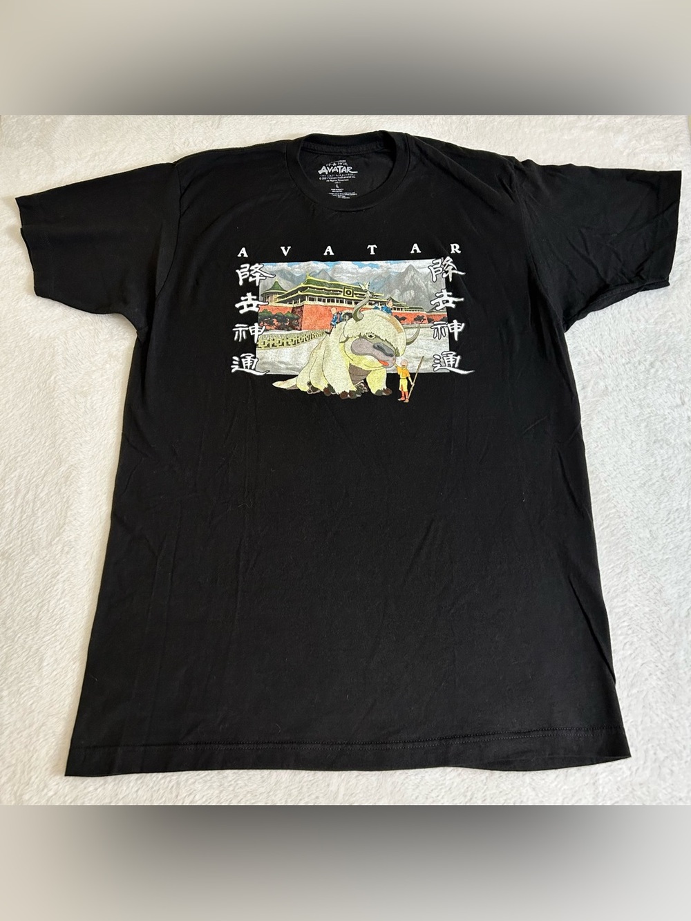 Avatar Mens T-Shirt Large Black The Last Airbender Appa Flying Bison Graphic